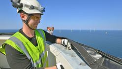 2018 Borkum Riffgrund II - technician working in tower